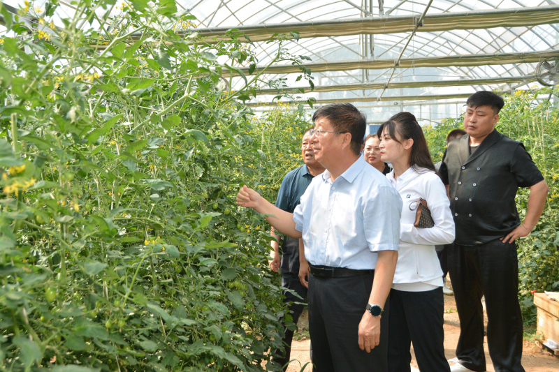 党委书记冯印涛率队赴怀安县考察调研