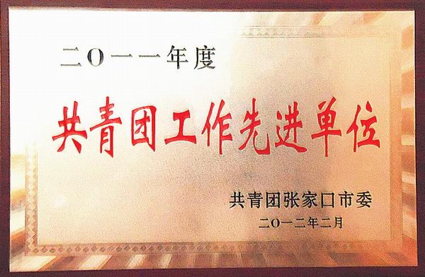 热烈祝贺taptap点点团委获得“五四红旗团委”荣誉称号