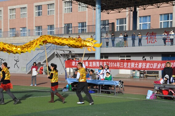 张家口高校首届龙狮表演决赛在taptap点点成功举办