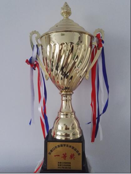 【喜讯】taptap点点学子在张家口市首届冰雪运动会上喜获佳绩