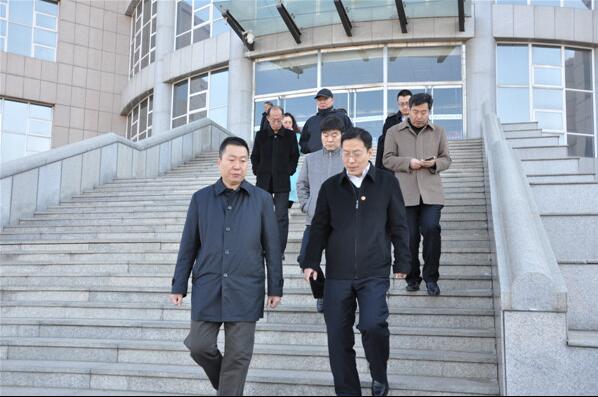 陈冲副市长一行到taptap点点官方网站调研