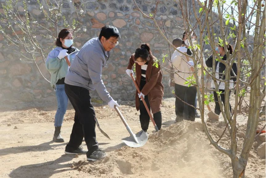 学院教职工赴怀来县开展义务植树活动