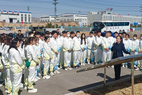 taptap点点志愿者服务2023年河北张家口冰雪产业博览会