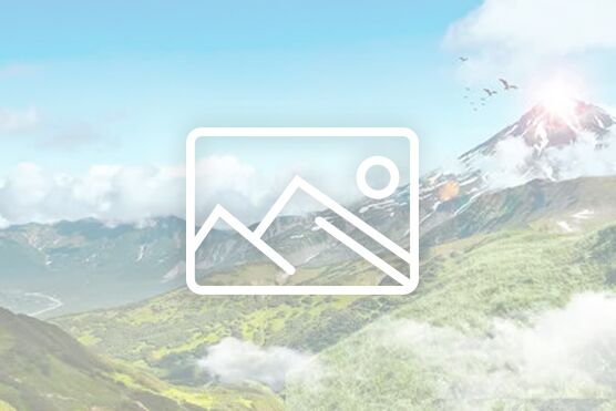 中华人民共和国职业教育法